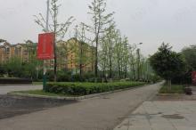 华夏艺术大观园位置交通图