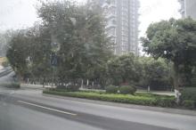 珠江御景湾位置交通图